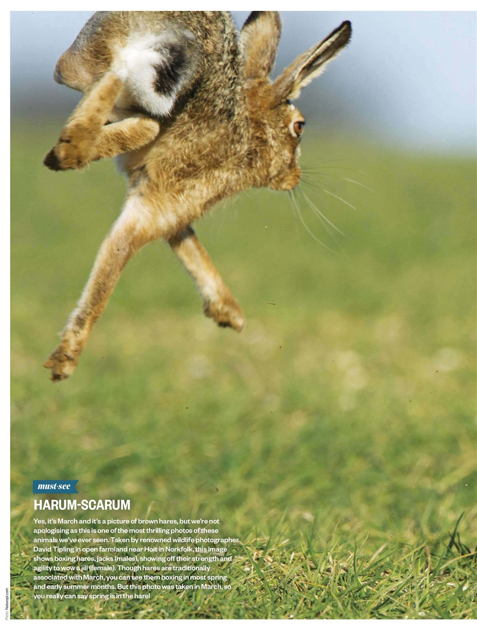 BBC Countryfile Magazine Preview Pages