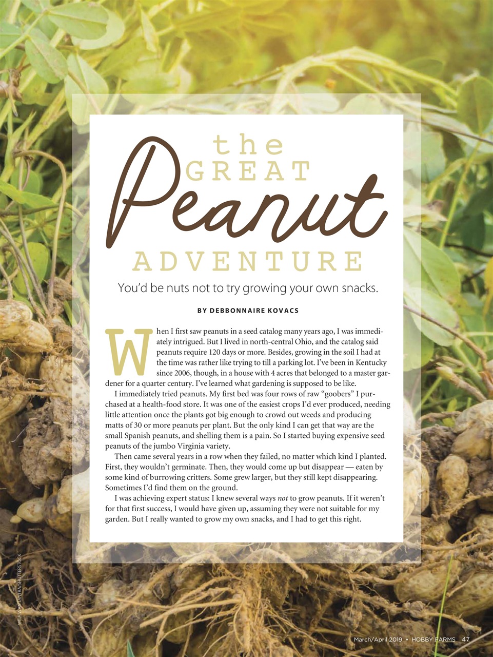 Hobby Farms Magazine Preview Pages