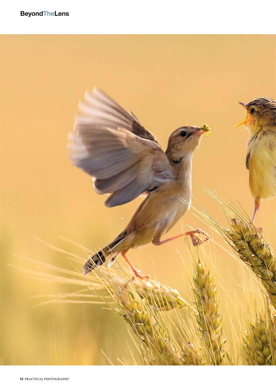 Practical Photography Preview Pages