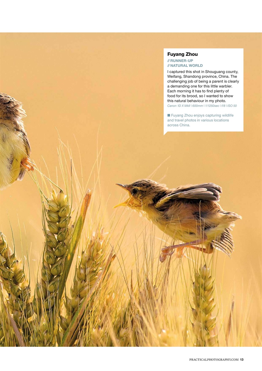 Practical Photography Preview Pages