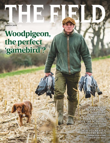 The Field issue March 2019
