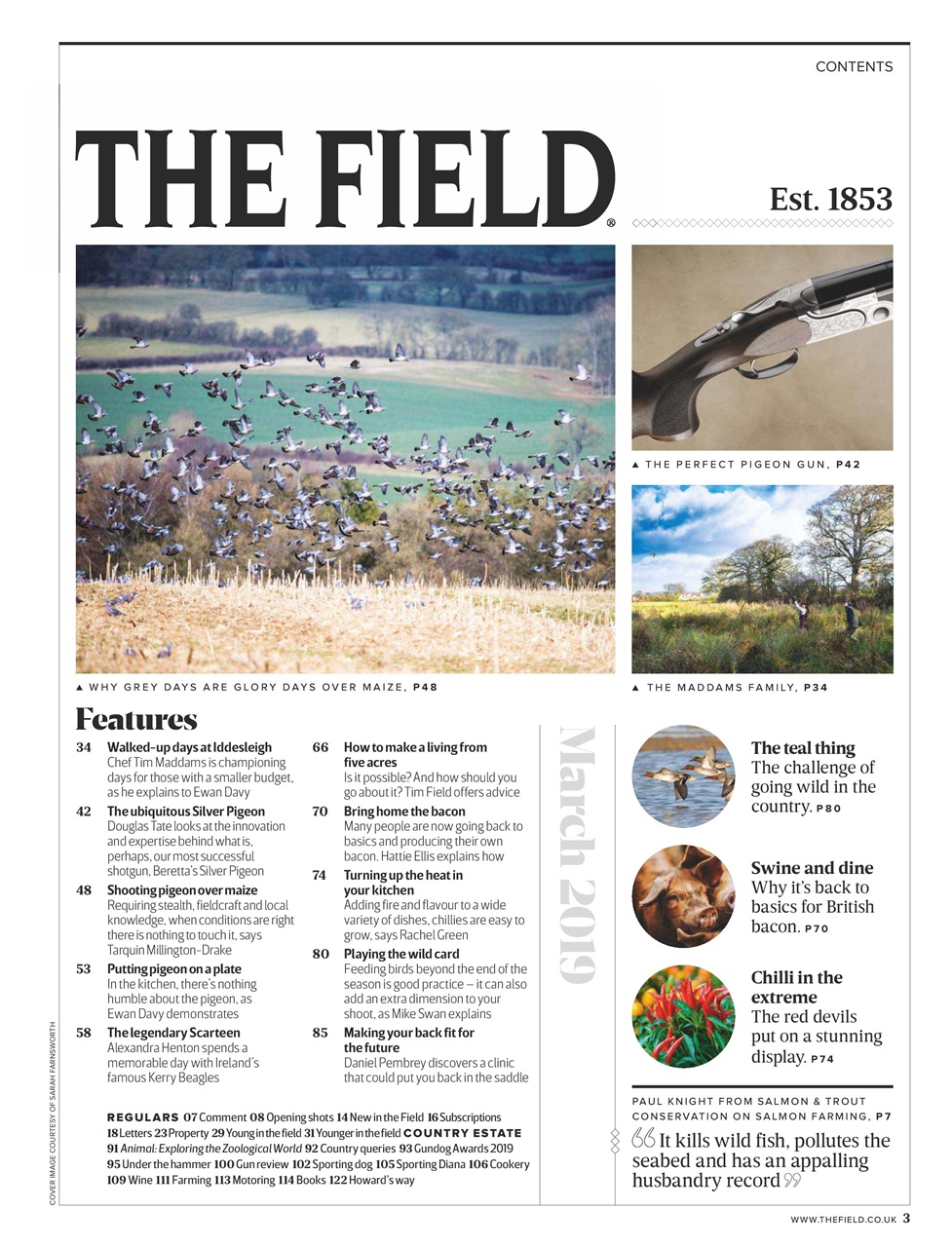 The Field Preview Pages