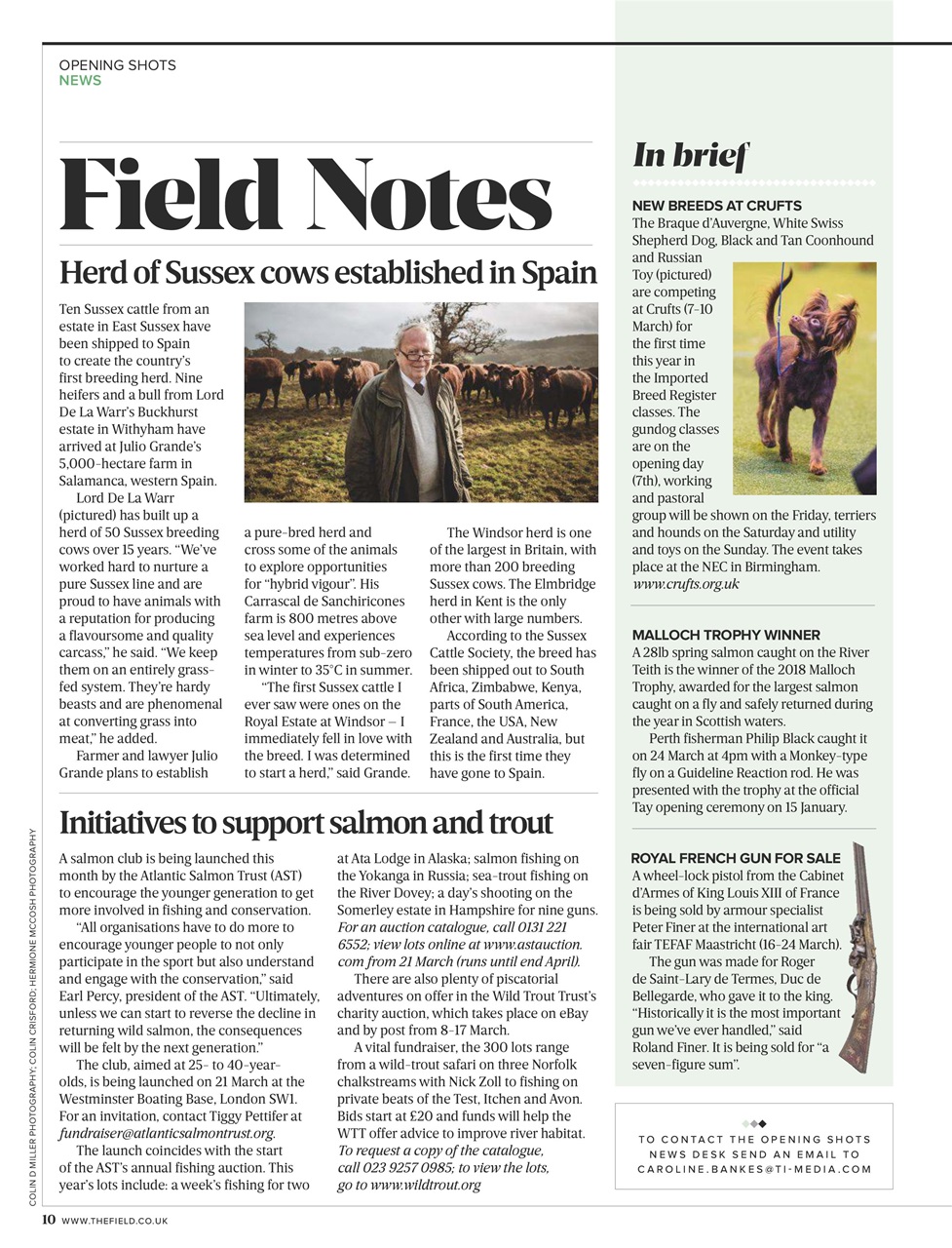 The Field Preview Pages