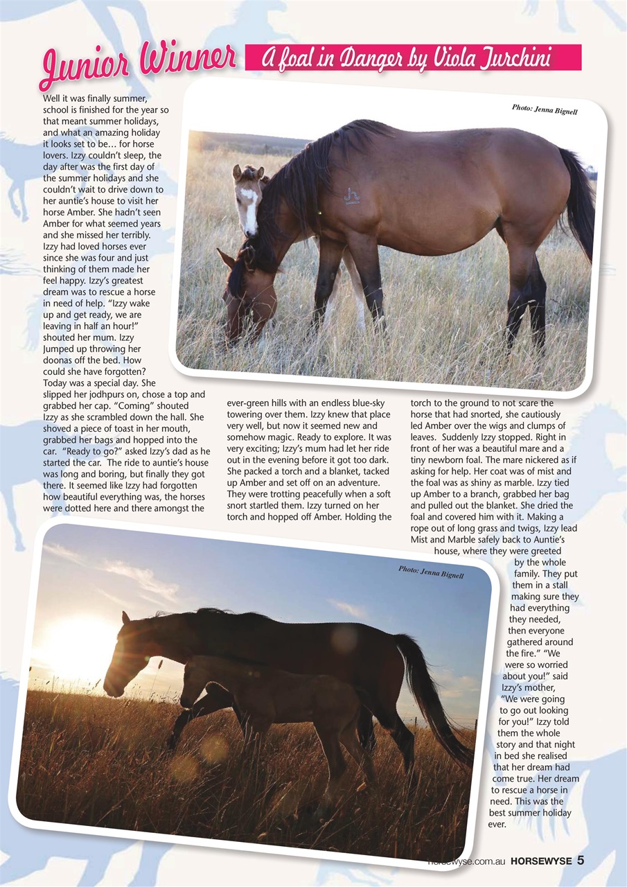 HorseWyse Magazine Preview Pages