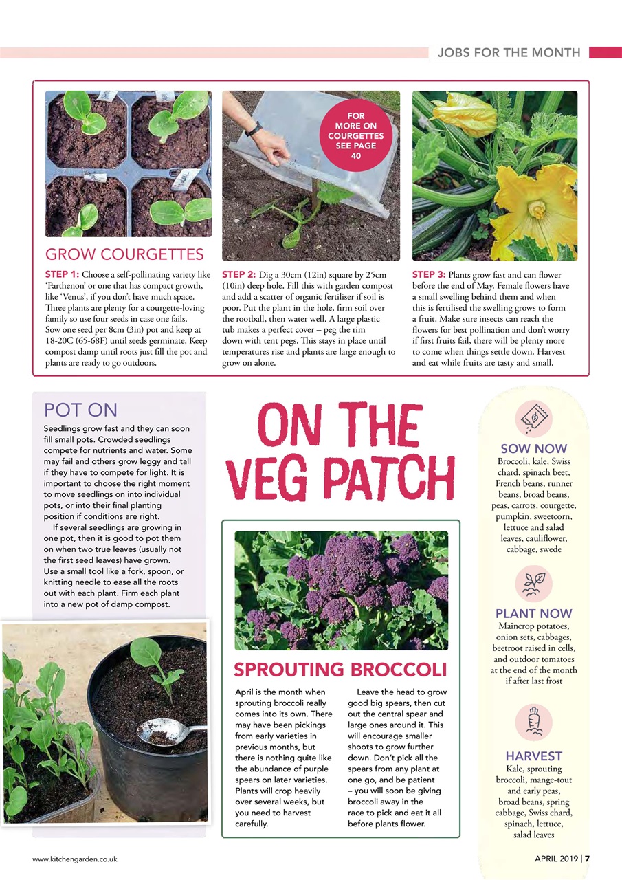 Kitchen Garden Magazine Preview Pages