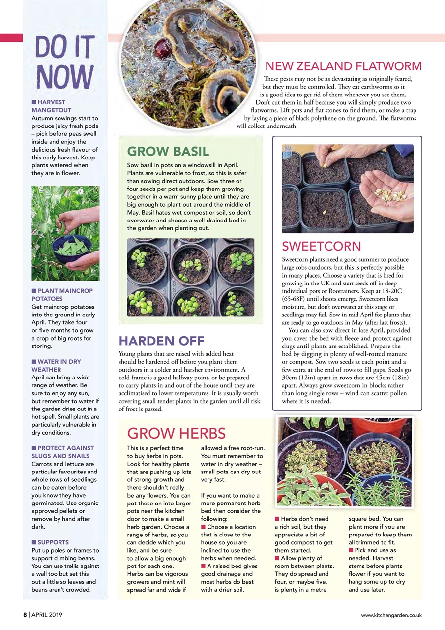 Kitchen Garden Magazine Preview Pages