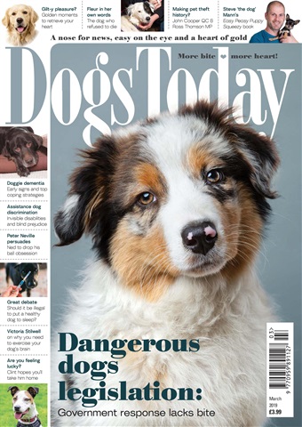 Dogs Today Magazine issue March 2019