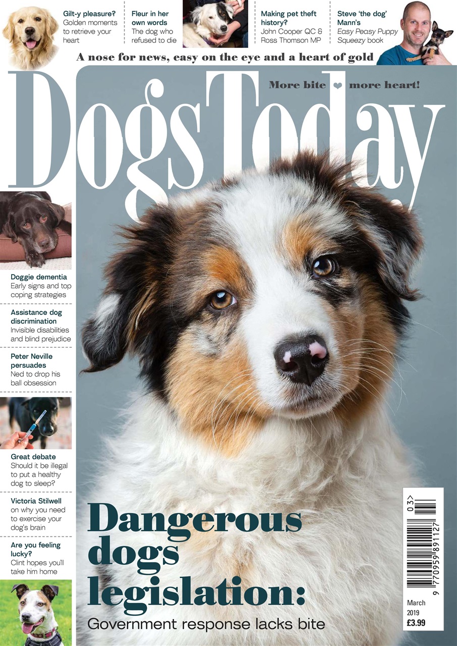 Dogs Today Magazine Preview Pages