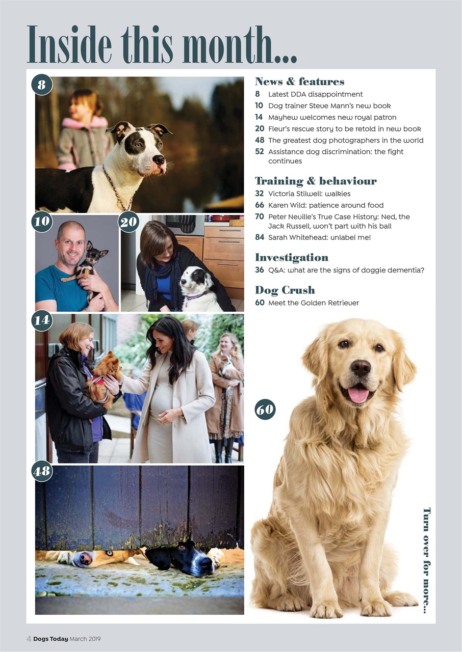 Dogs Today Magazine Preview Pages