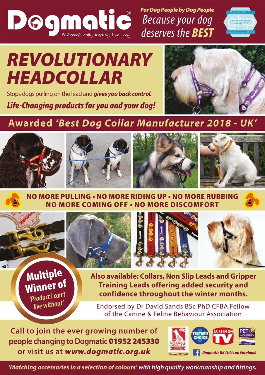 Dogs Today Magazine Preview Pages