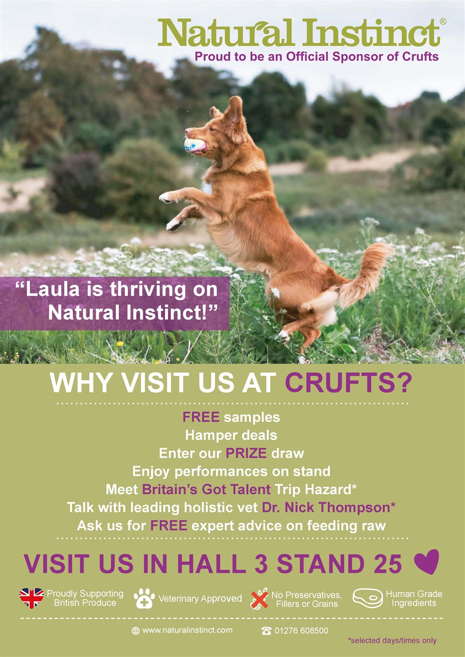 Dogs Today Magazine Preview Pages