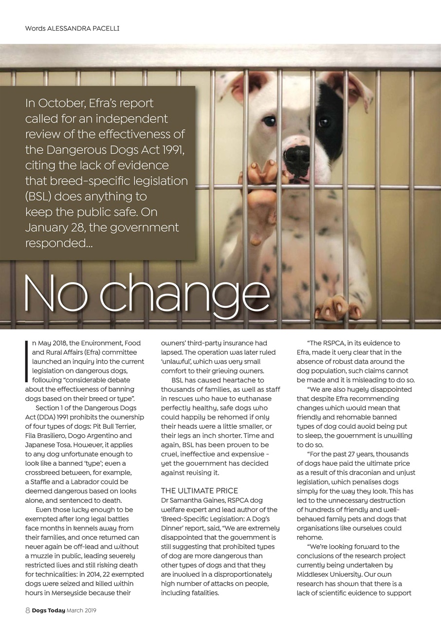 Dogs Today Magazine Preview Pages