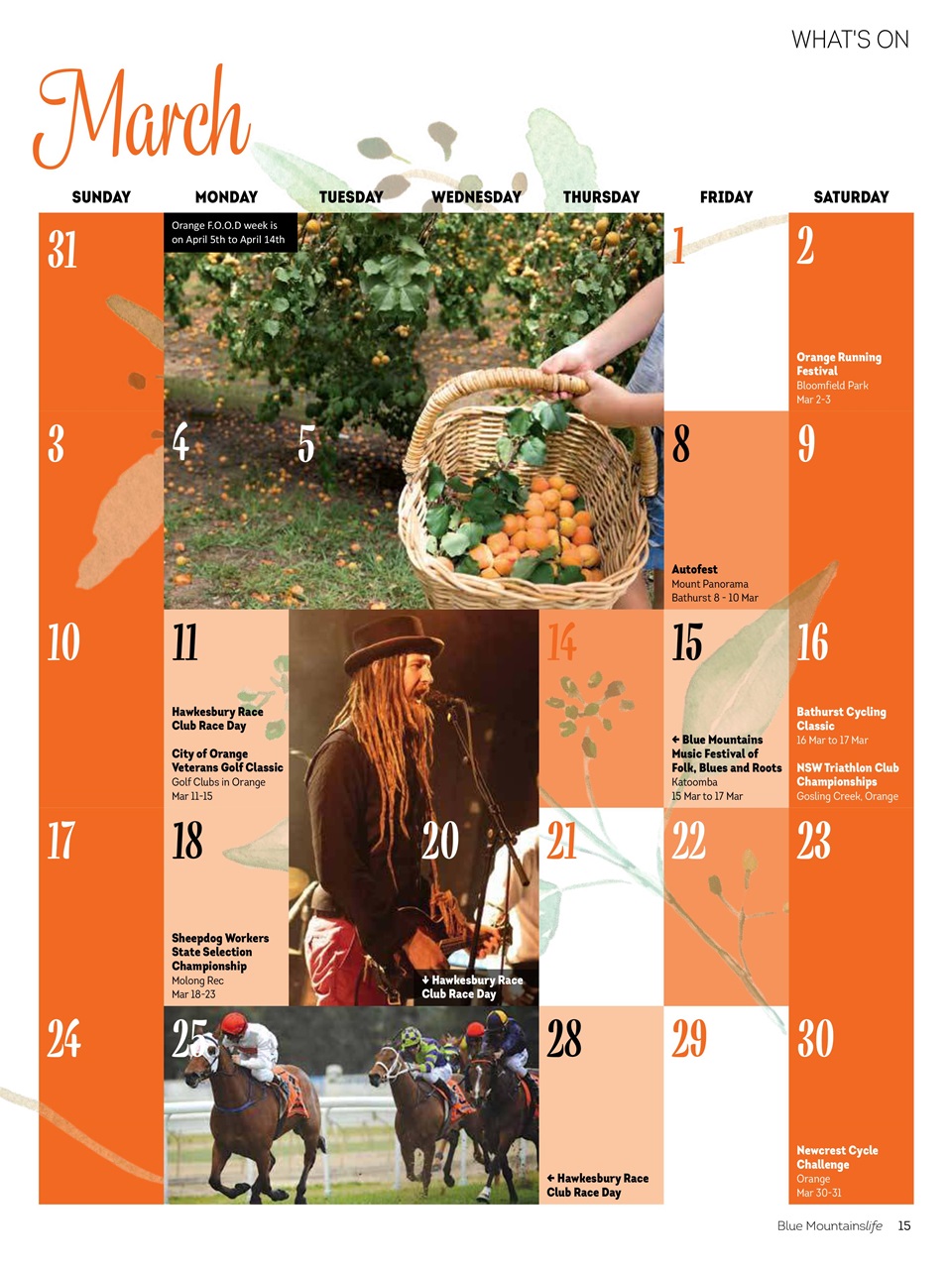 Blue Mountains Life Preview Pages