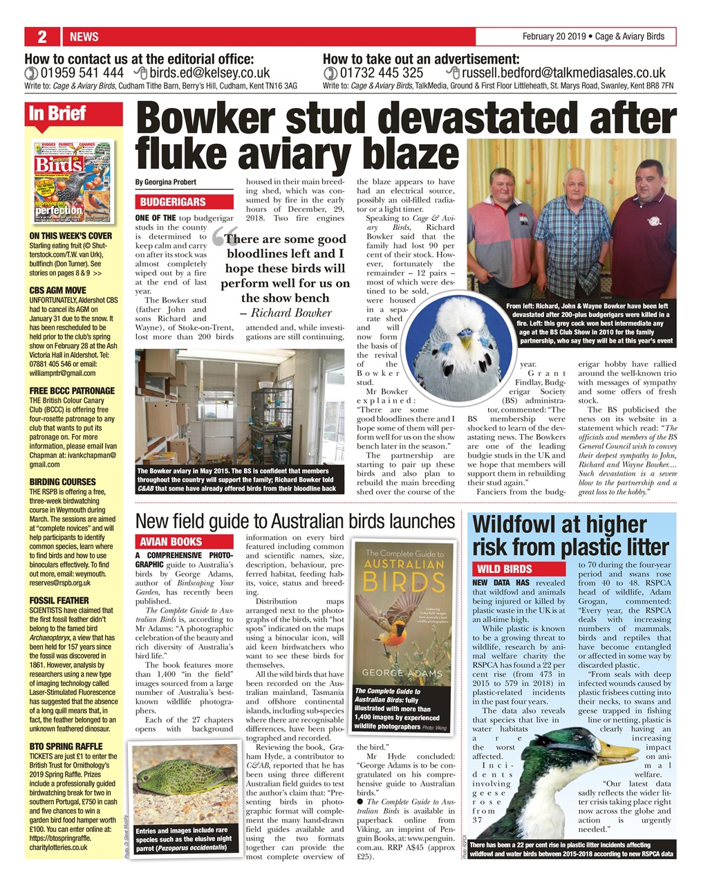 Cage & Aviary Birds Preview Pages