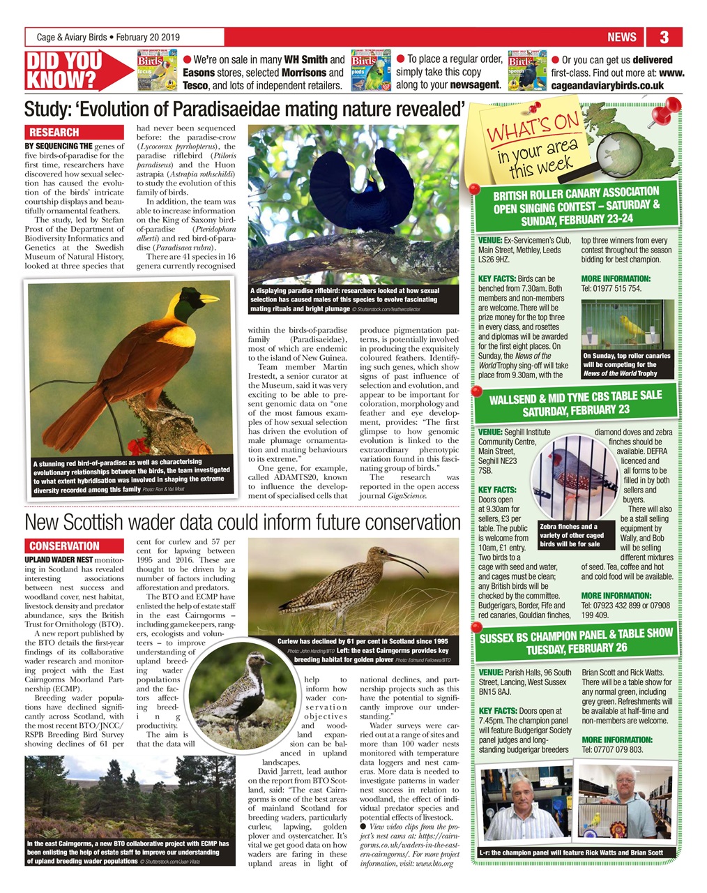 Cage & Aviary Birds Preview Pages