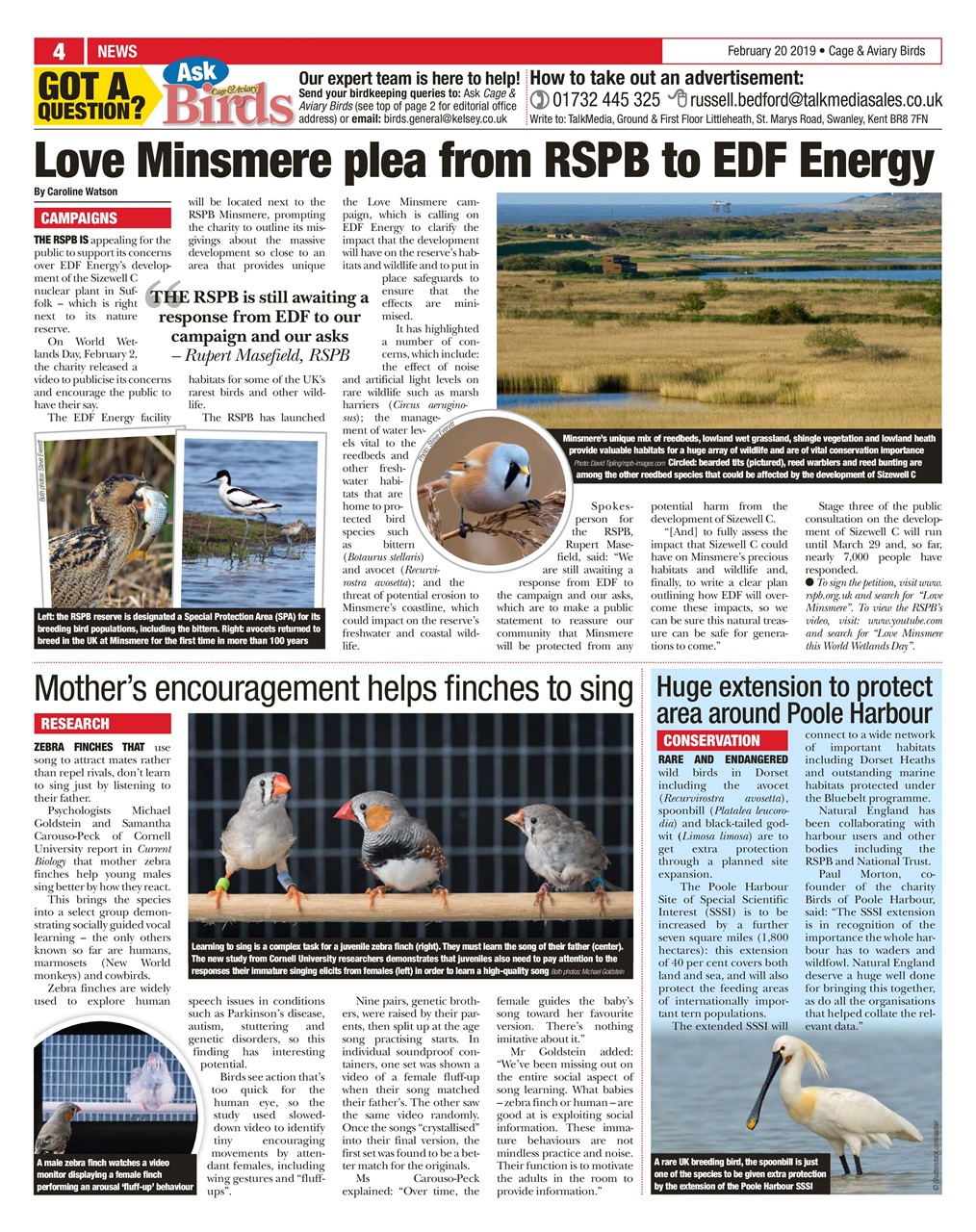 Cage & Aviary Birds Preview Pages