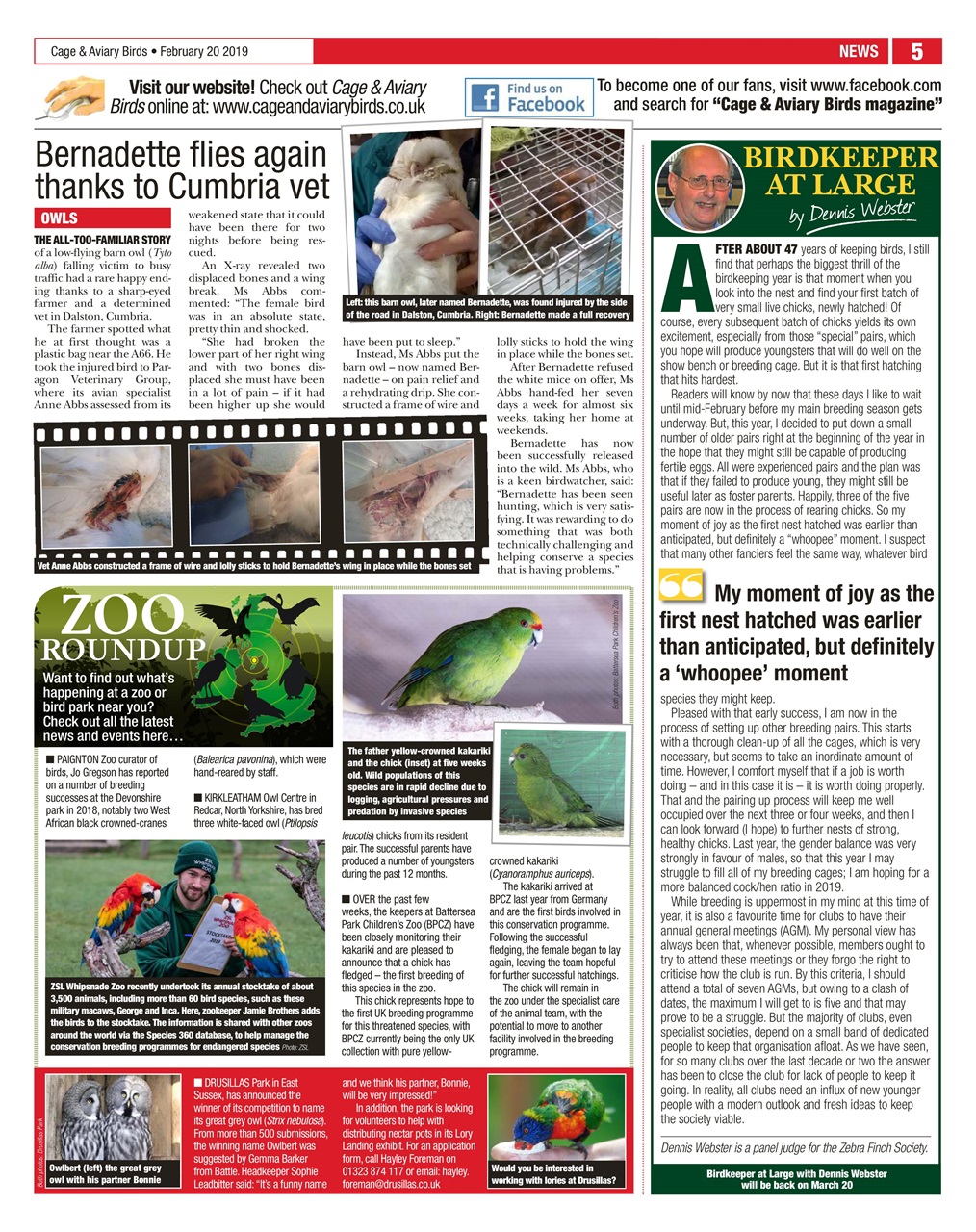 Cage & Aviary Birds Preview Pages