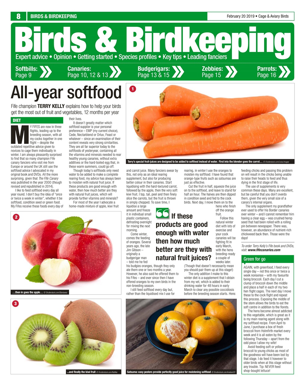 Cage & Aviary Birds Preview Pages