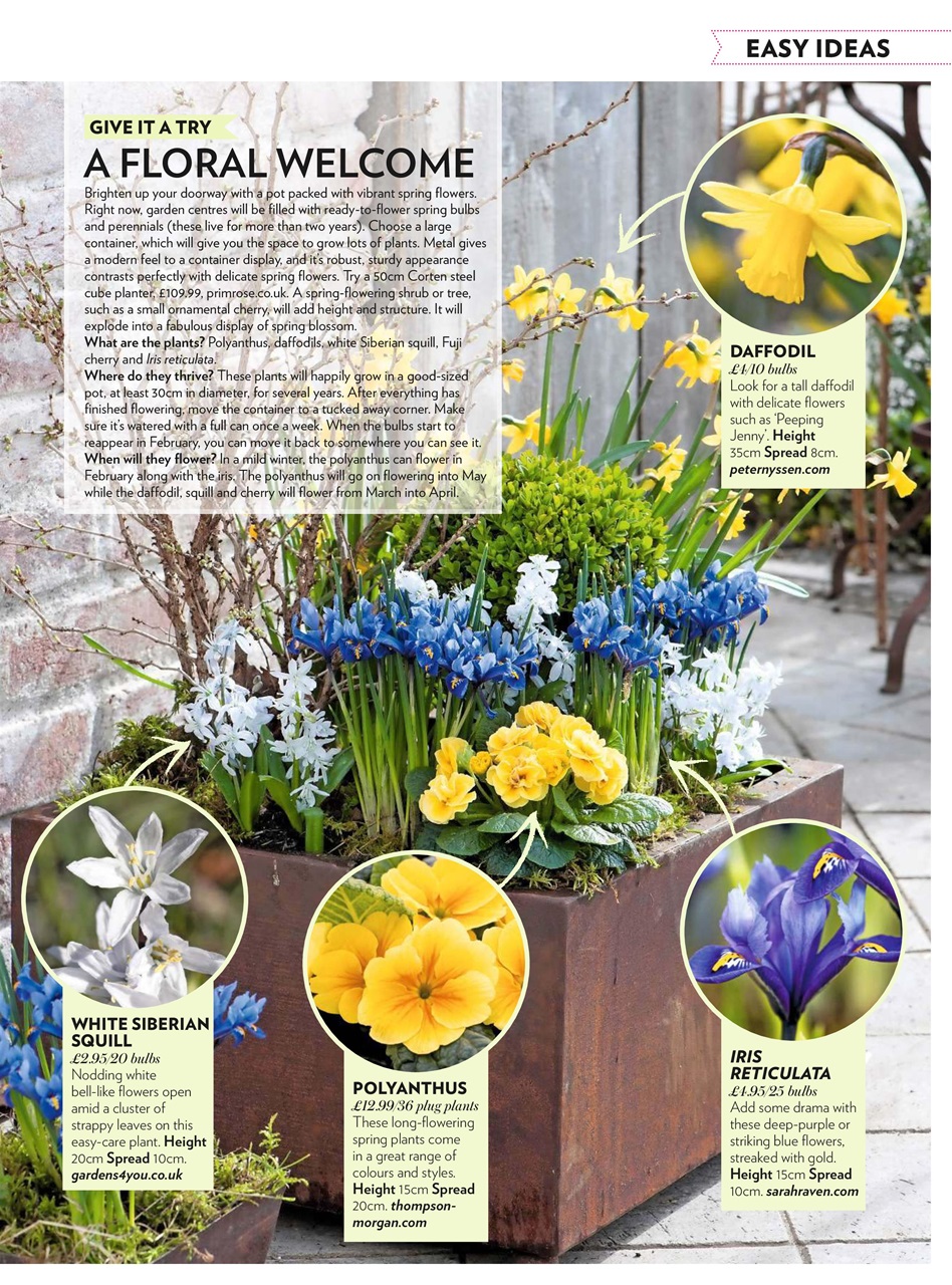 Modern Gardens Preview Pages