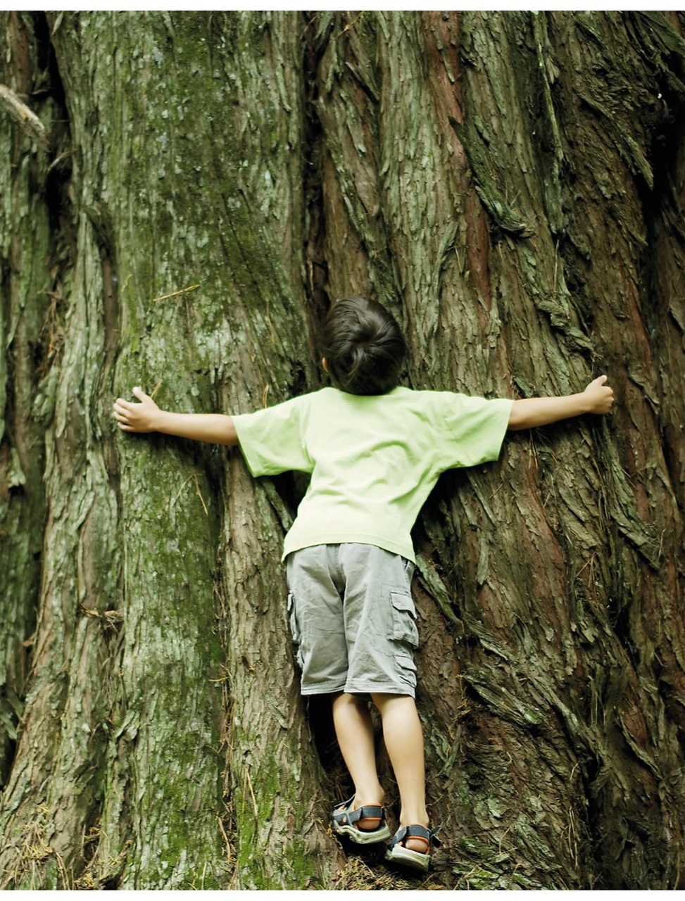 BBC Top Gear Magazine Preview Pages