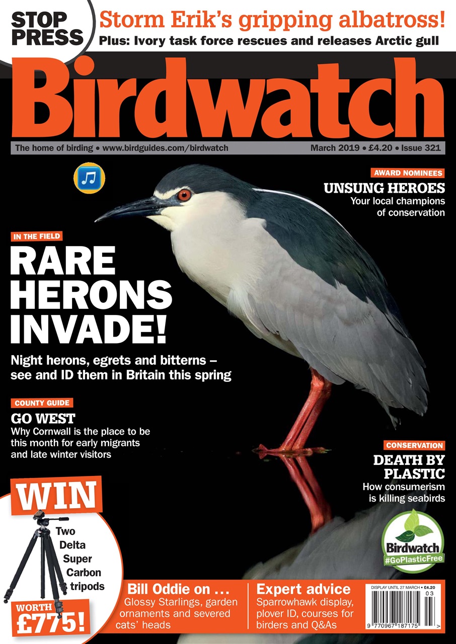 Birdwatch Magazine Preview Pages