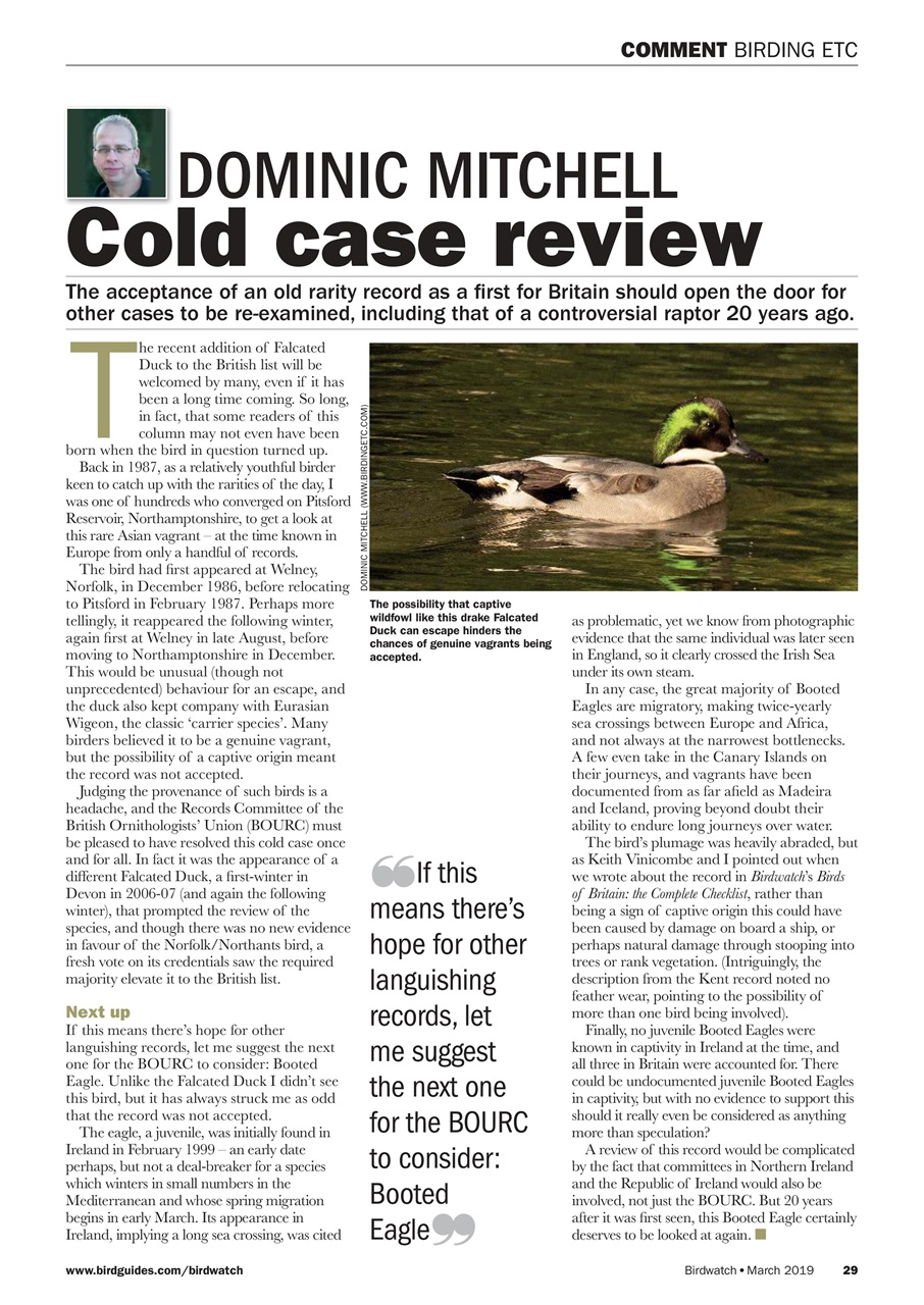 Birdwatch Magazine Preview Pages