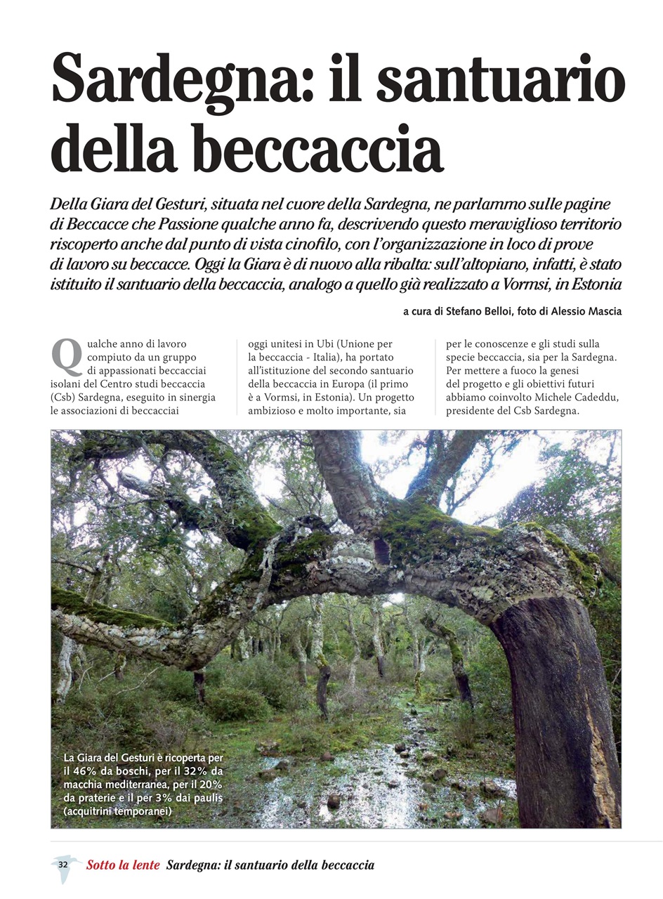 BECCACCE CHE PASSIONE Preview Pages