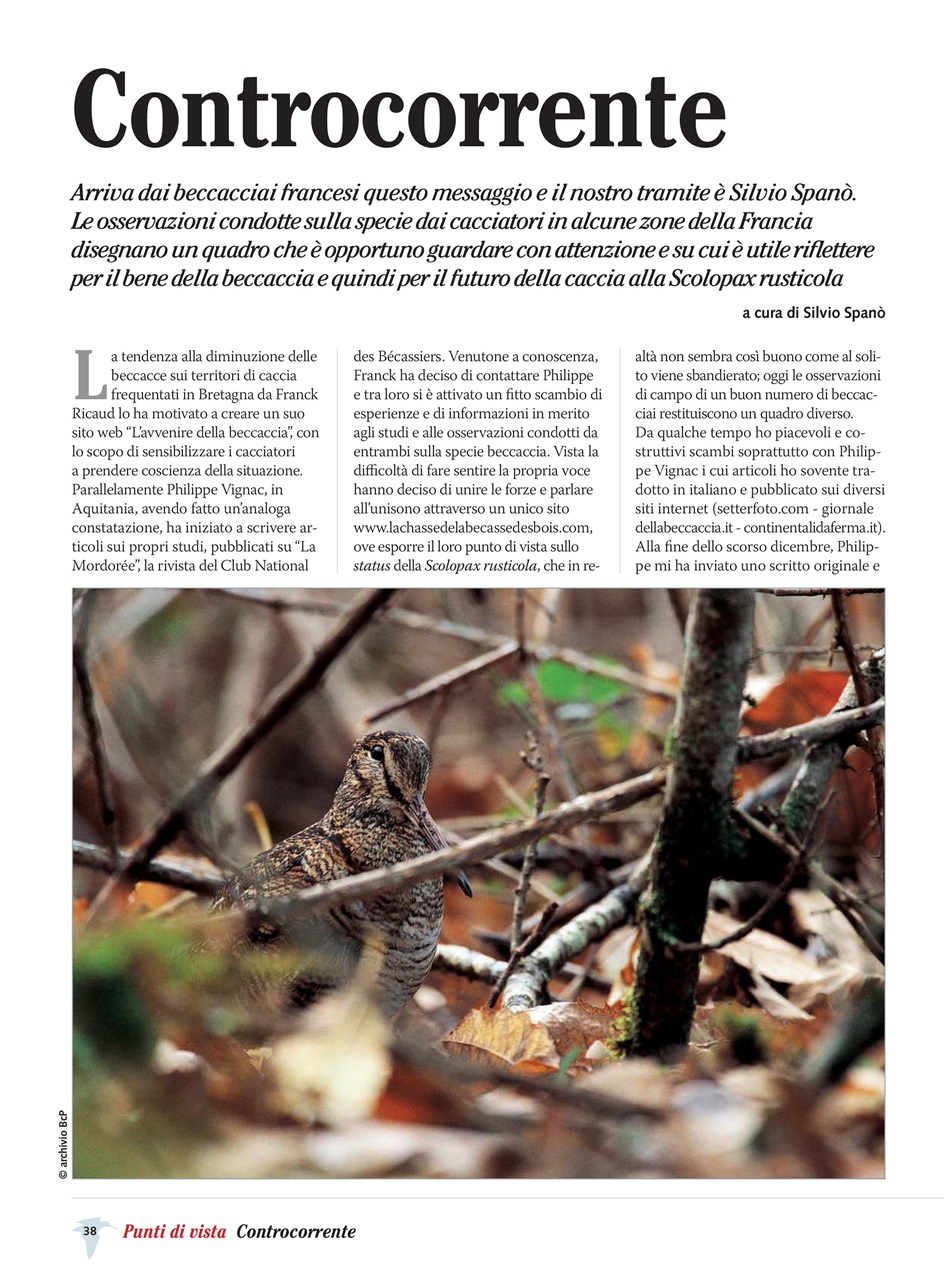 BECCACCE CHE PASSIONE Preview Pages