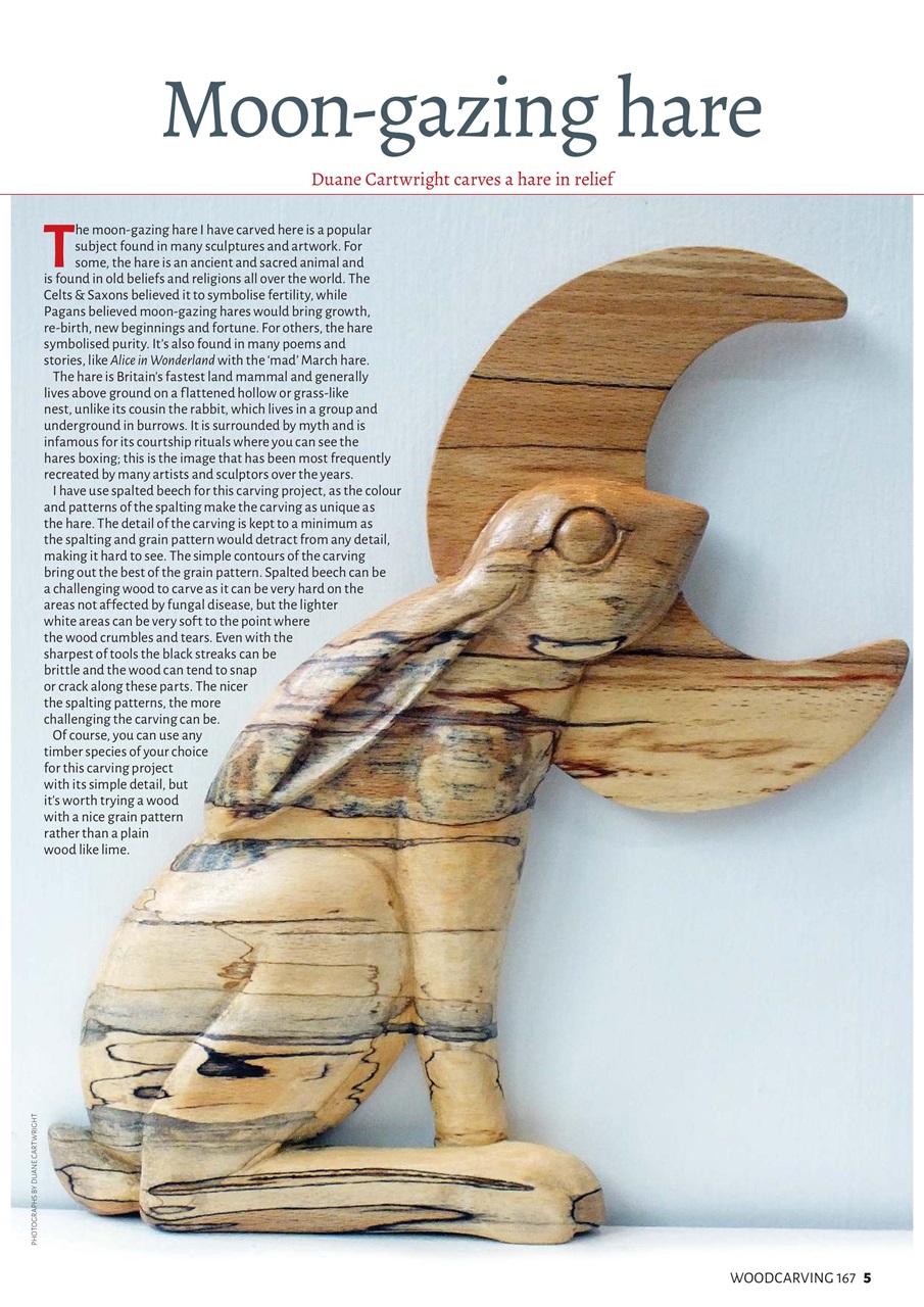 Woodcarving Preview Pages