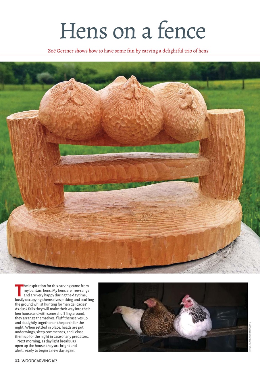 Woodcarving Preview Pages