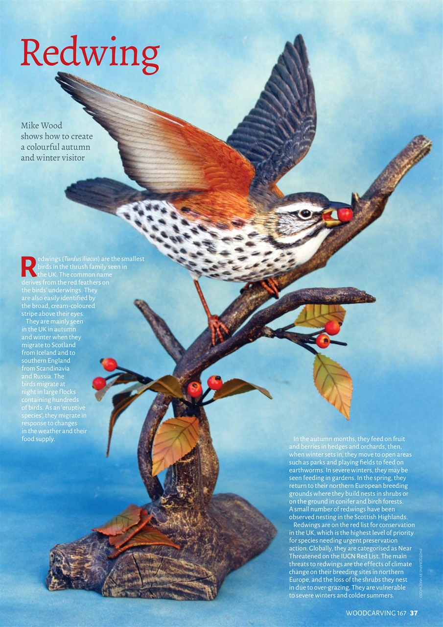 Woodcarving Preview Pages