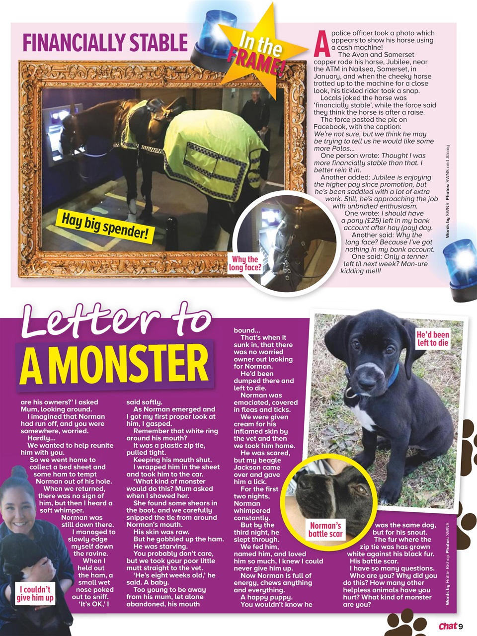 Chat Specials Preview Pages