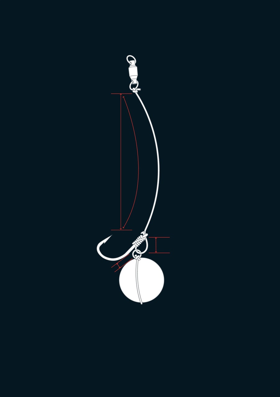 CARPology Magazine Preview Pages