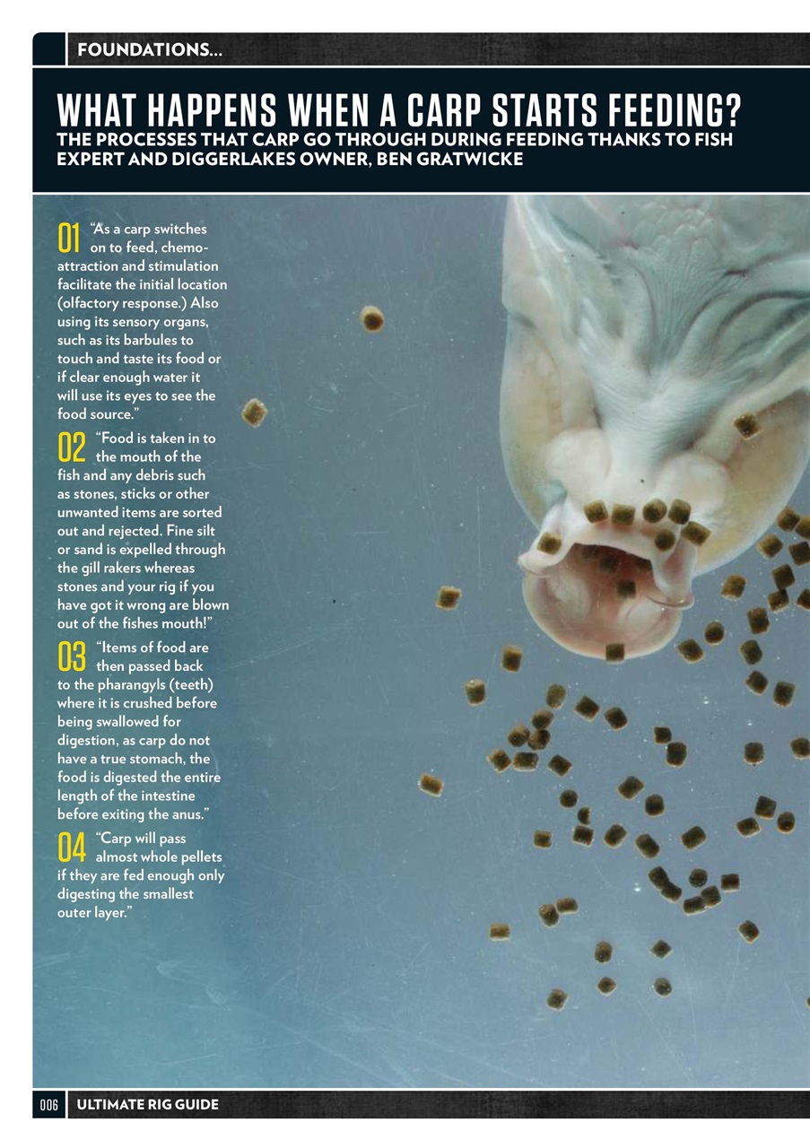 CARPology Magazine Preview Pages