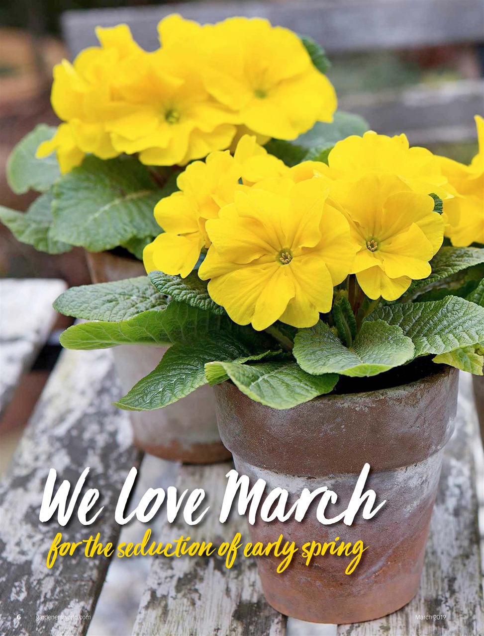 BBC Gardeners’ World Magazine Preview Pages