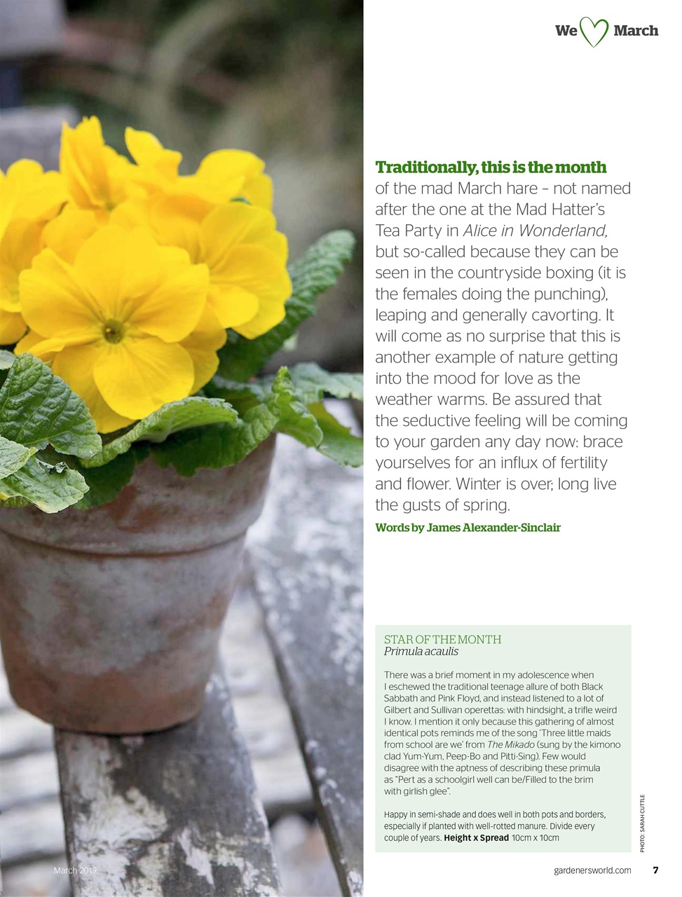BBC Gardeners’ World Magazine Preview Pages