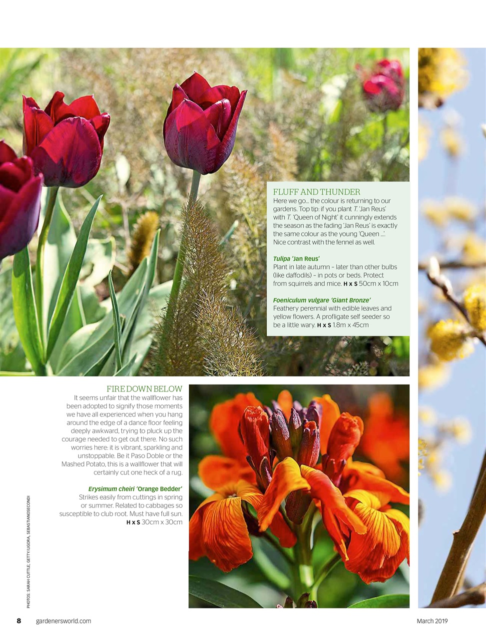 BBC Gardeners’ World Magazine Preview Pages