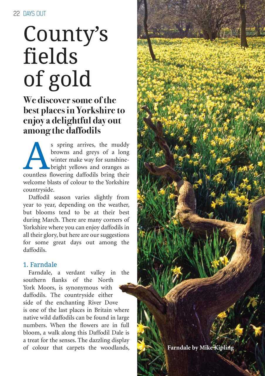 The Yorkshire Dalesman Preview Pages