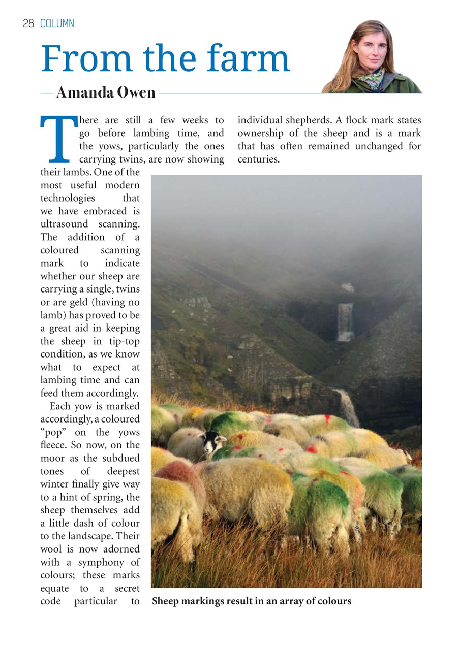 The Yorkshire Dalesman Preview Pages