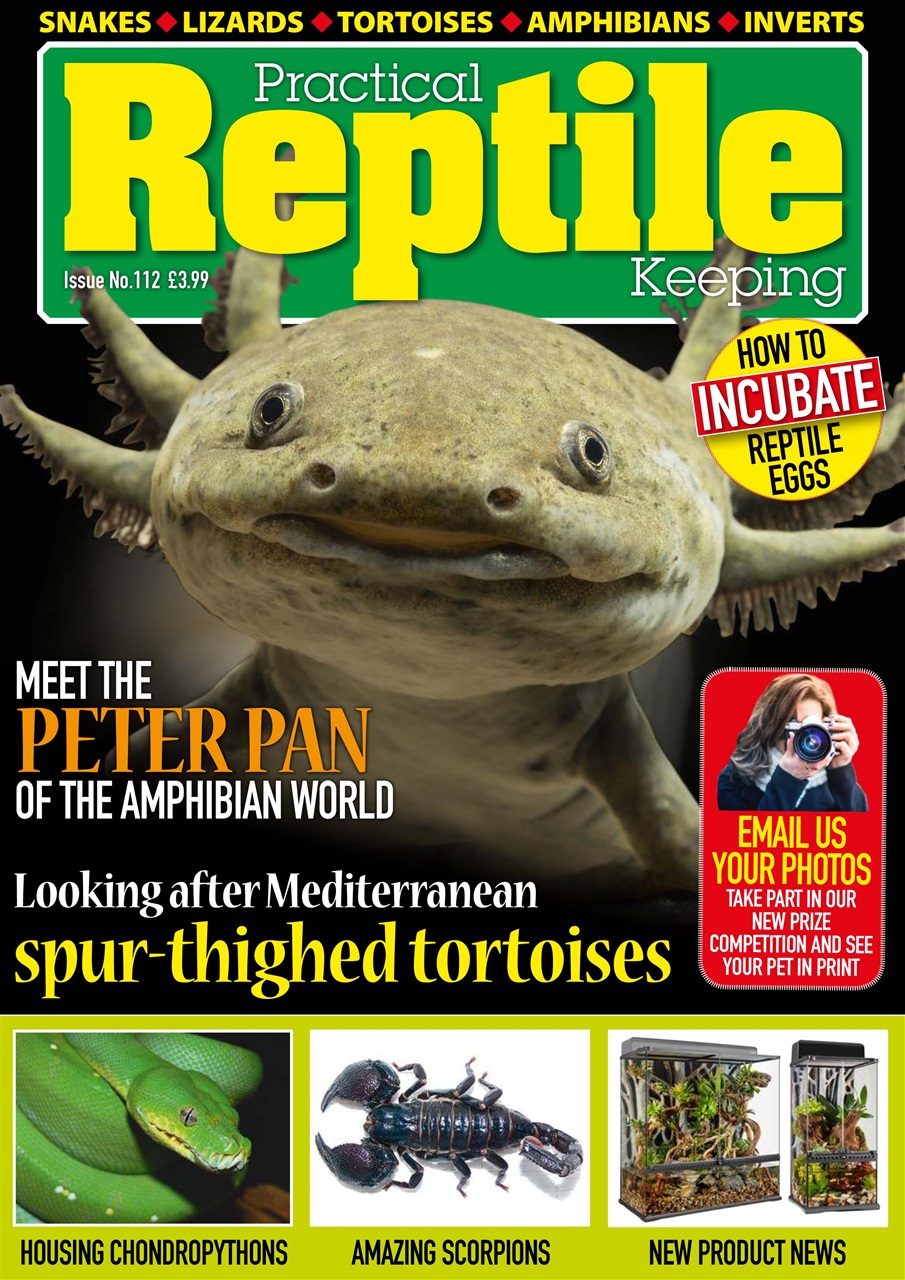 Practical Reptile Keeping Preview Pages