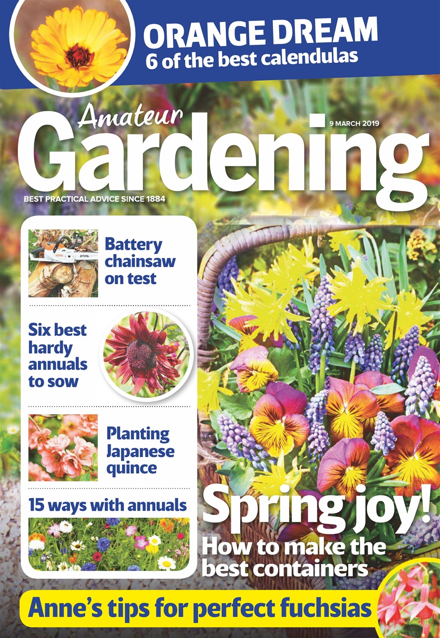Amateur Gardening Preview Pages