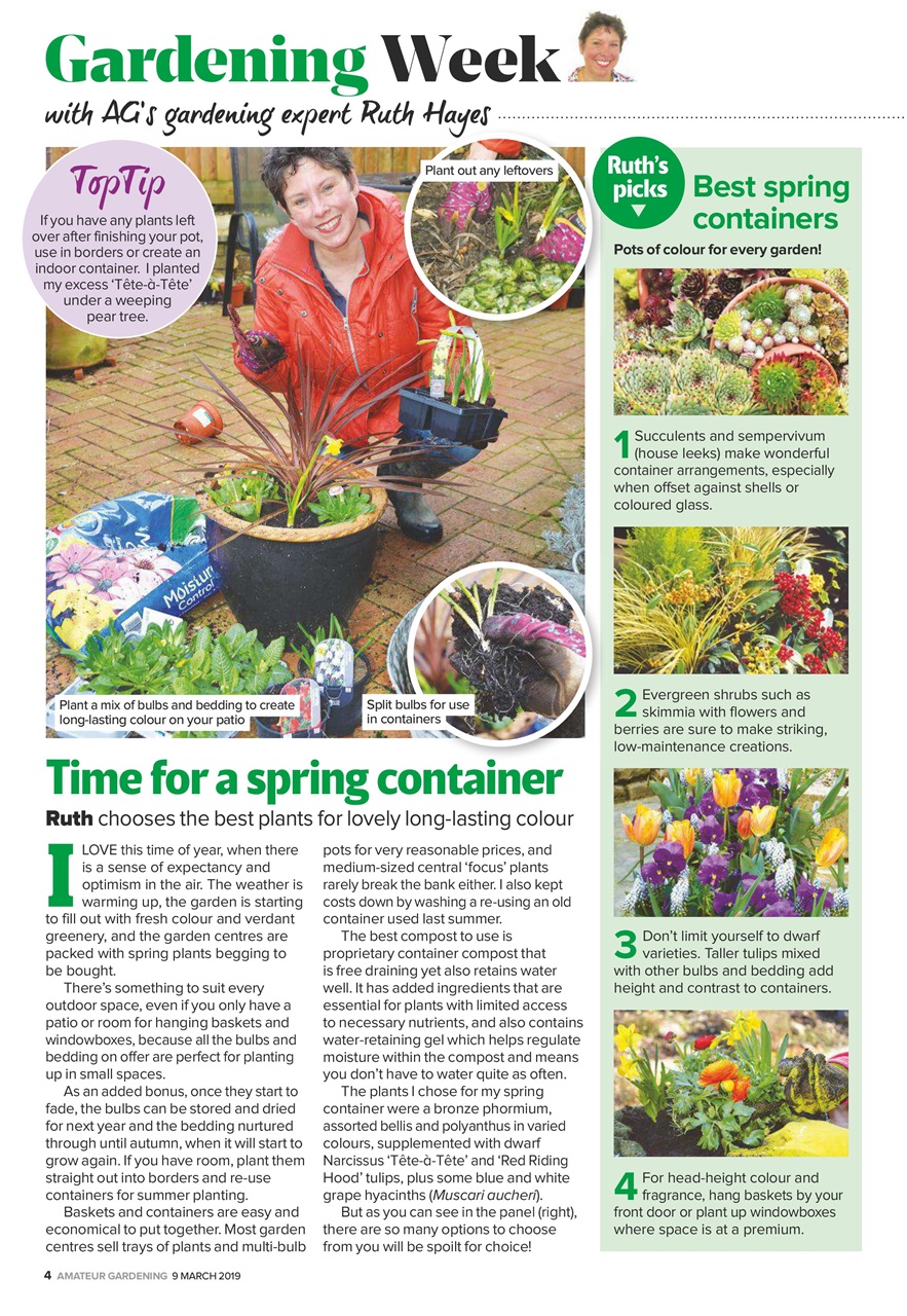 Amateur Gardening Preview Pages