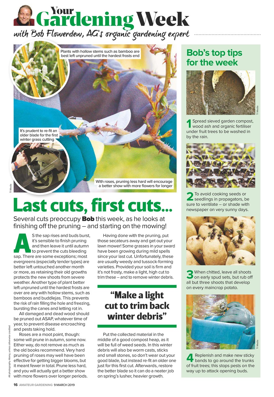 Amateur Gardening Preview Pages