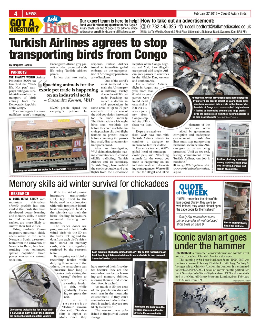 Cage & Aviary Birds Preview Pages