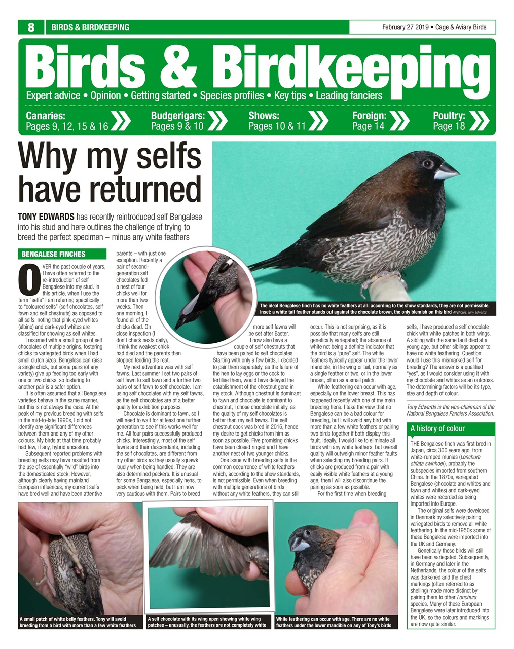 Cage & Aviary Birds Preview Pages