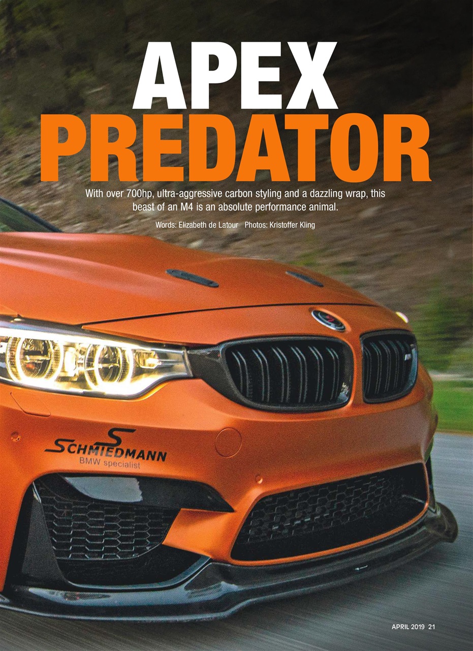 Performance BMW Preview Pages