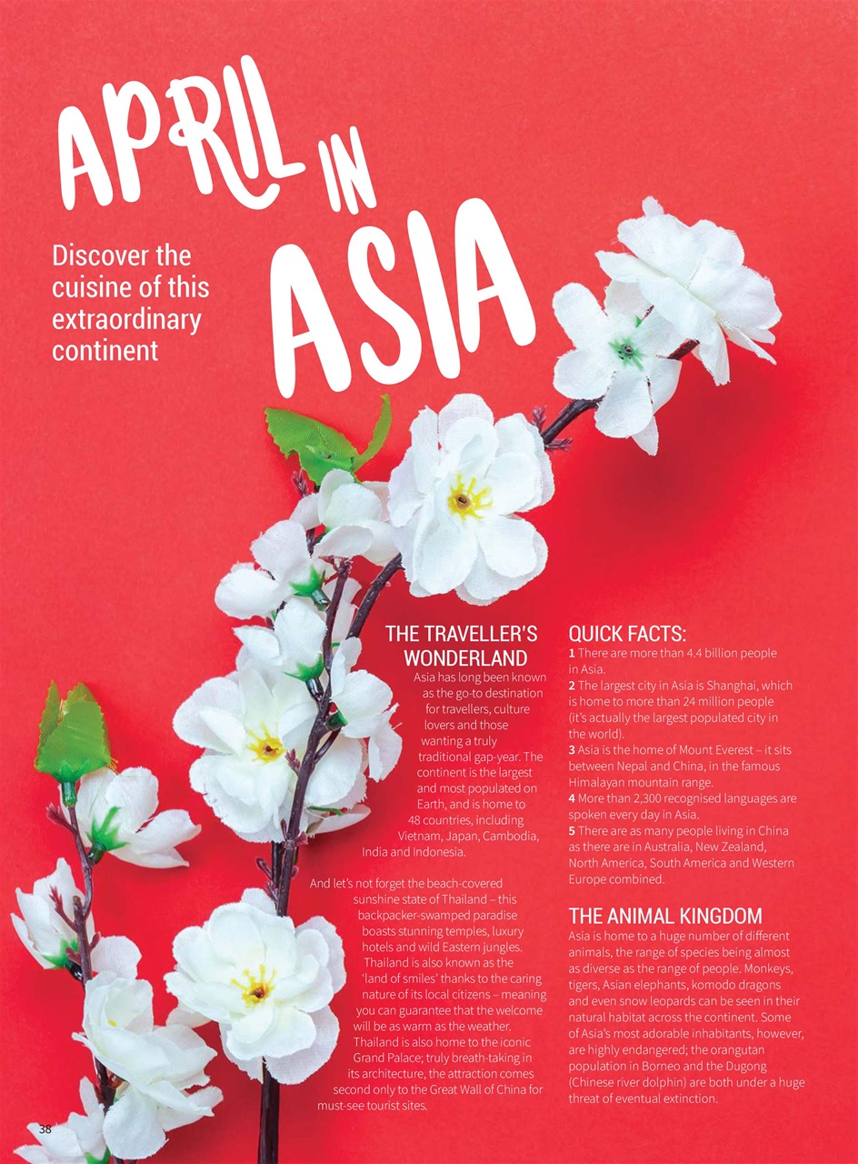 PlantBased Preview Pages