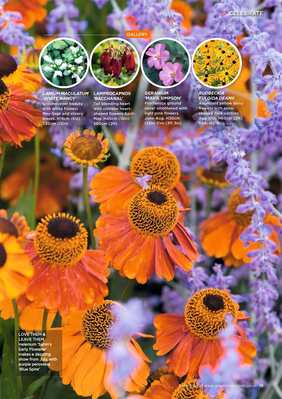 Garden Answers Preview Pages