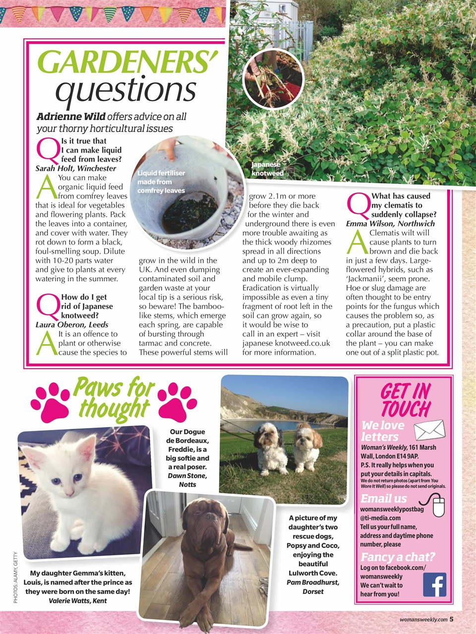Woman's Weekly Preview Pages