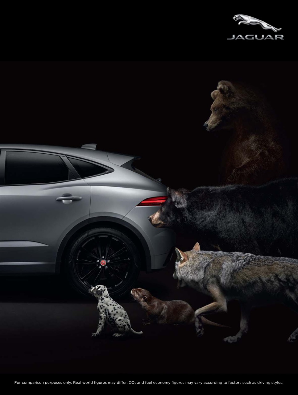 Attitude Preview Pages